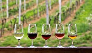 Finger Lakes Wineries