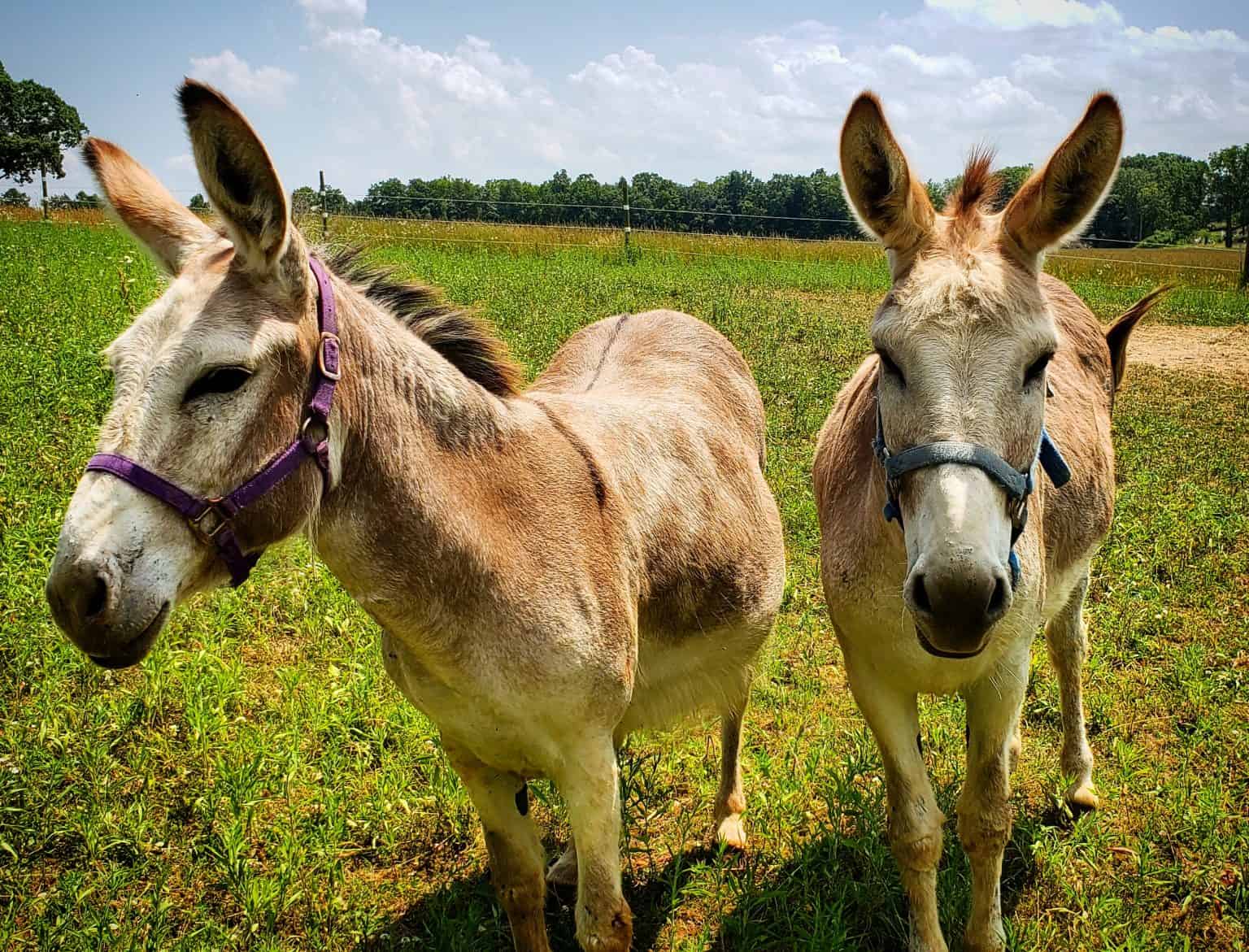 Best Finger Lakes Wineries