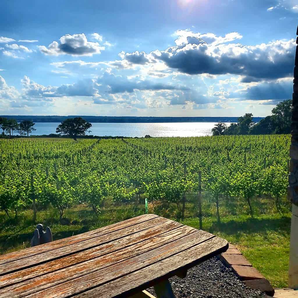 Finger Lakes Wineries