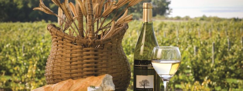 Ventosa wine and food overlooking vineayards